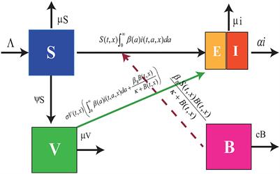 Temporal-spatial analysis of a foot-and-mouth disease model with spatial diffusion and vaccination